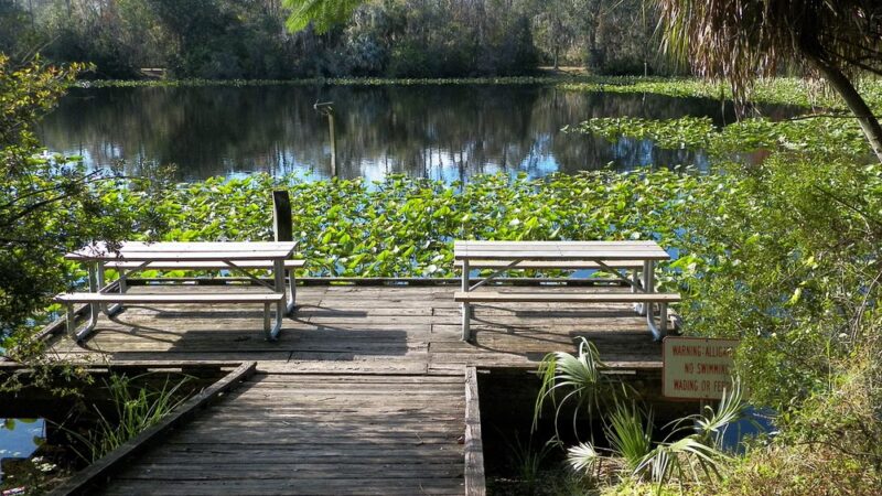 Al Lopez Park - Tampa, FL