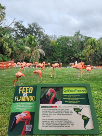 Busch Gardens Pet Kennel - Tampa, FL