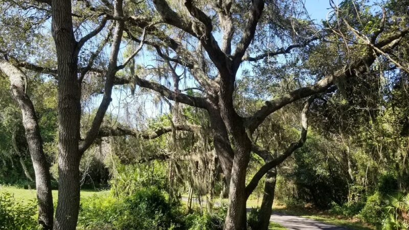 Channel Park Pavillion, Upper Tampa Bay Trail - Tampa, FL