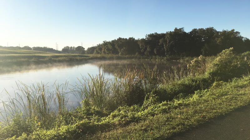 Channel Park Trailhead - Tampa, FL