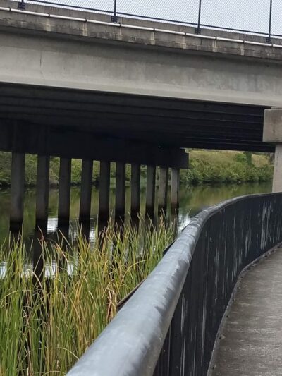 Channel Park Trailhead - Tampa, FL