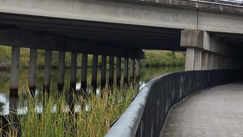 Channel Park Trailhead - Tampa, FL