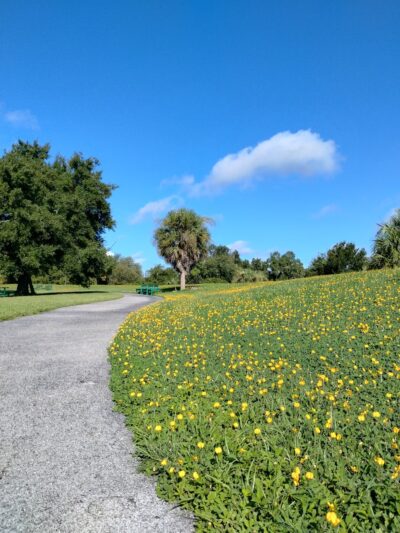 Channel Park Trailhead - Tampa, FL
