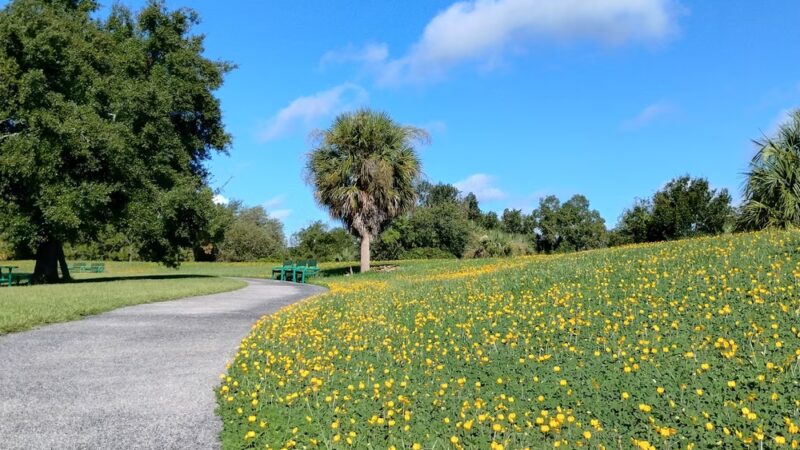 Channel Park Trailhead - Tampa, FL