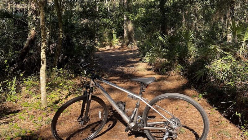 Channel Park Trailhead - Tampa, FL