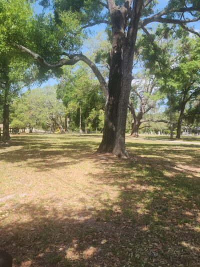 Cheney Park - Tampa, FL