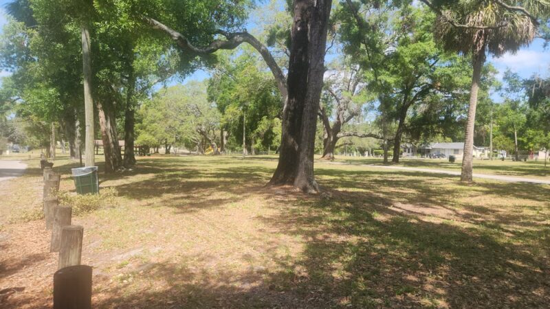 Cheney Park - Tampa, FL