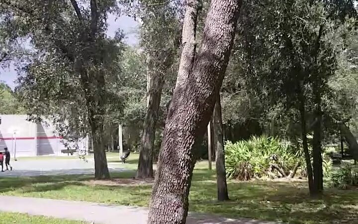Copeland Park - Tampa, FL