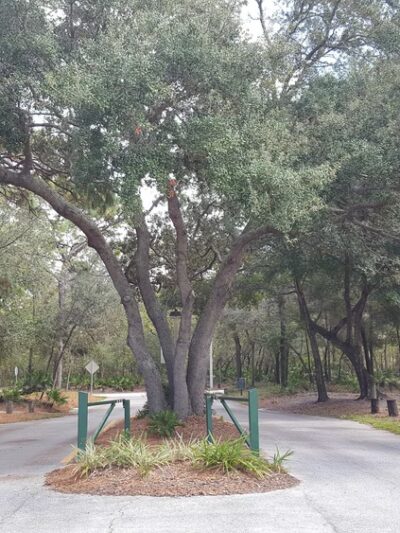 Copeland Park - Tampa, FL