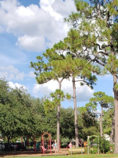 Corona Park - Tampa, FL