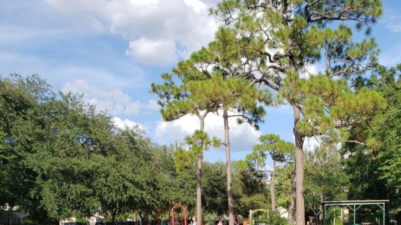 Corona Park - Tampa, FL