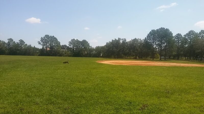 Countryway Park - Tampa, FL