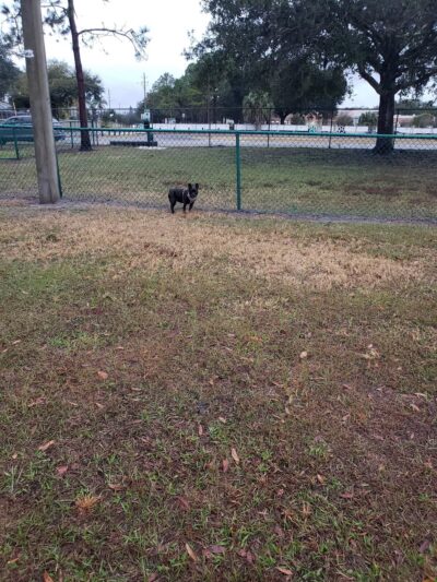 Countryway Park - Tampa, FL