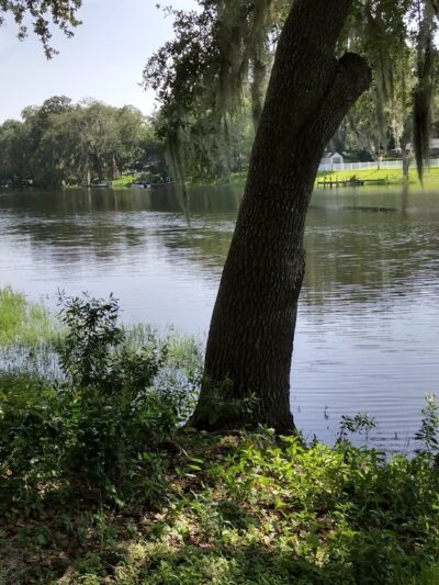David E. West Park - Tampa, FL