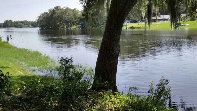 David E. West Park - Tampa, FL