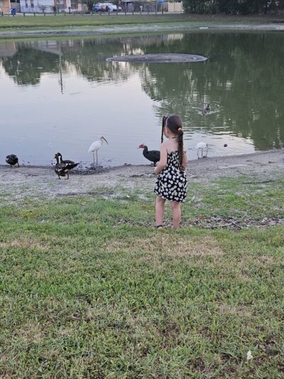 David E. West Park - Tampa, FL