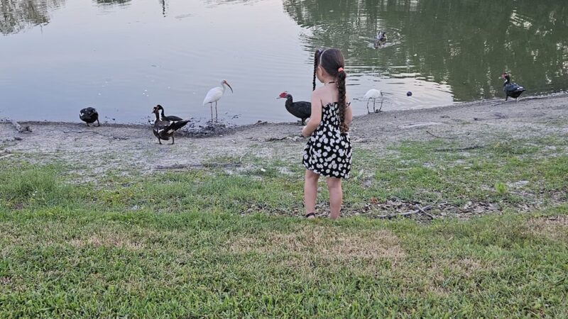 David E. West Park - Tampa, FL