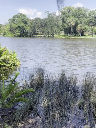 Epps Park - Tampa, FL