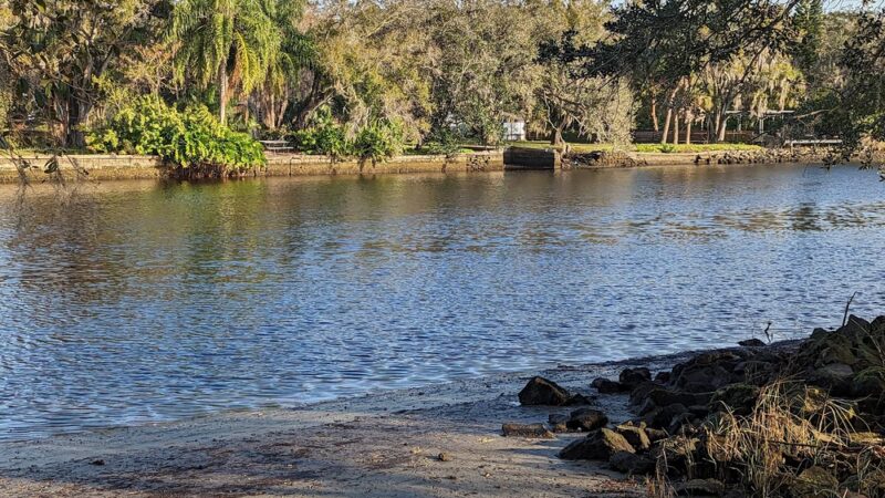 Epps Park - Tampa, FL
