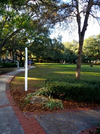 Fred Ball Park - Tampa, FL