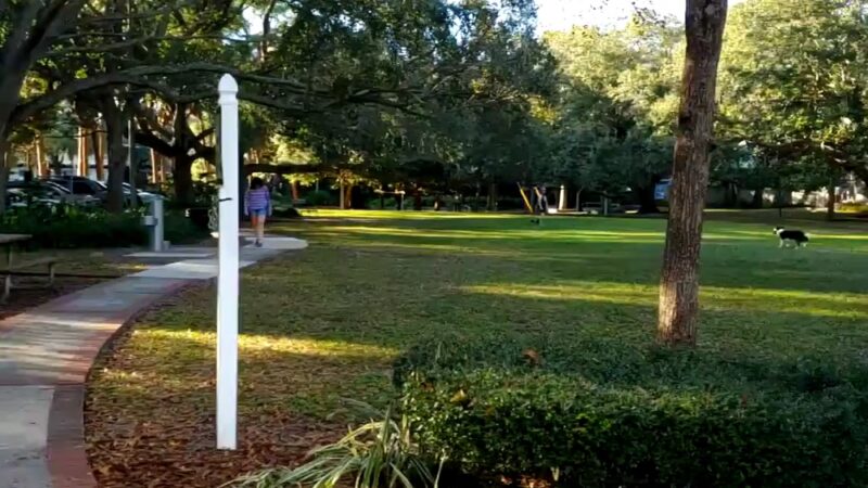 Fred Ball Park - Tampa, FL
