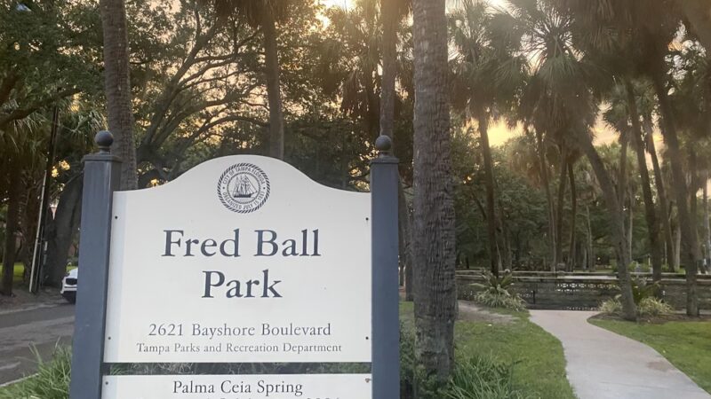 Fred Ball Park - Tampa, FL