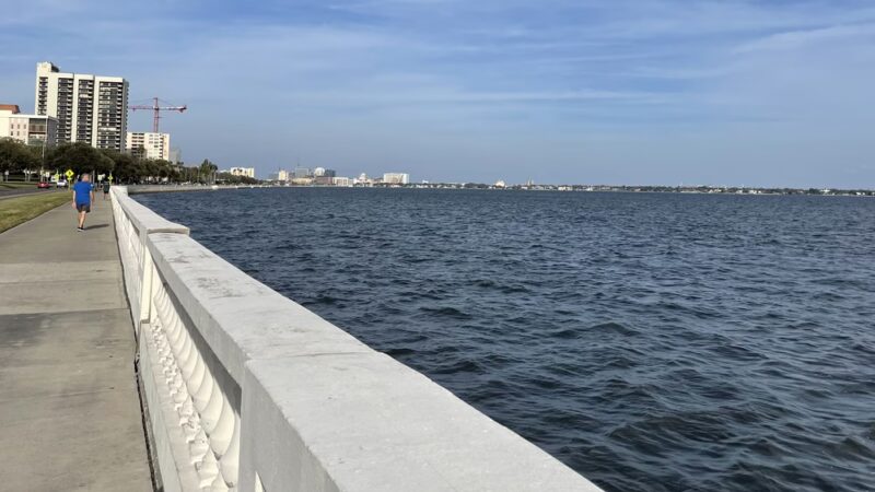Fred Ball Park - Tampa, FL