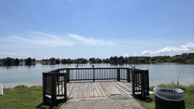 Gadsden Park - Tampa, FL
