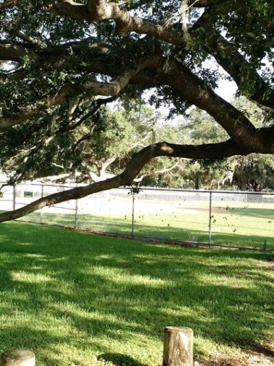Gadsden Park - Tampa, FL