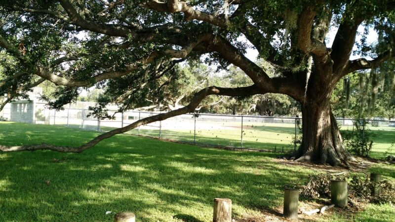 Gadsden Park - Tampa, FL