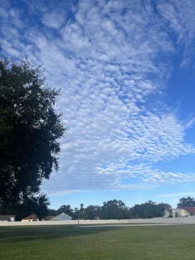 Hampton Park - Tampa, FL