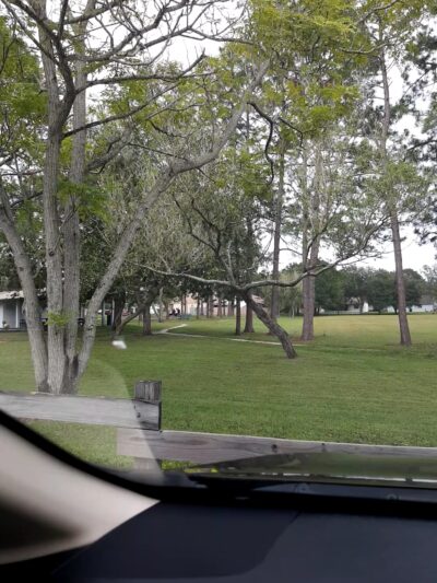 Hutchison Park - Tampa, FL