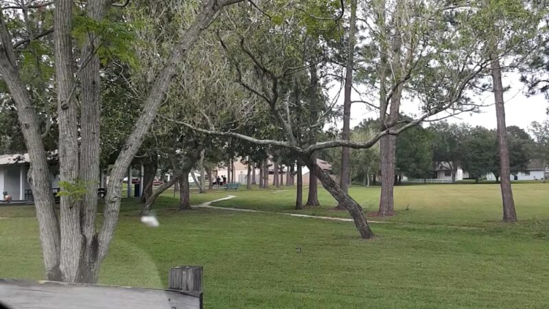 Hutchison Park - Tampa, FL