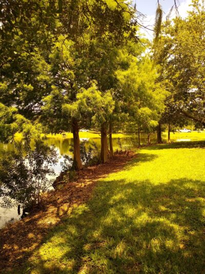 Hutchison Park - Tampa, FL