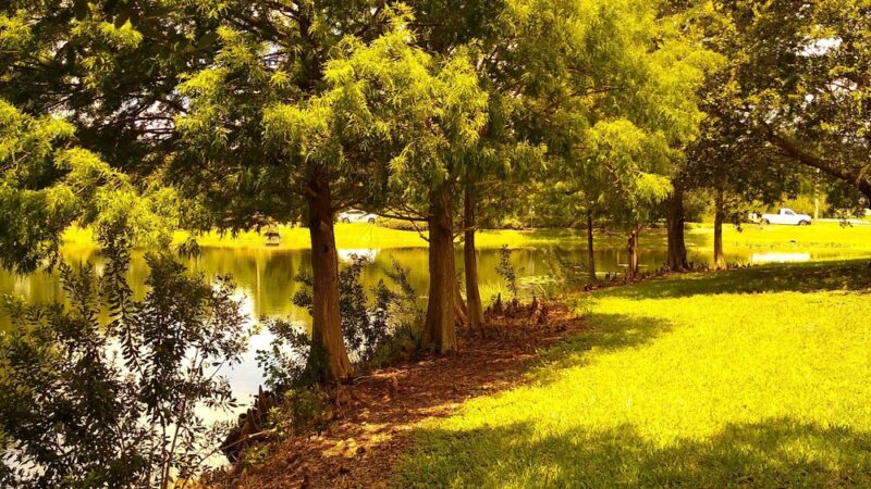Hutchison Park - Tampa, FL