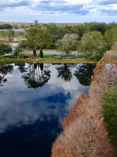Hutchison Park - Tampa, FL