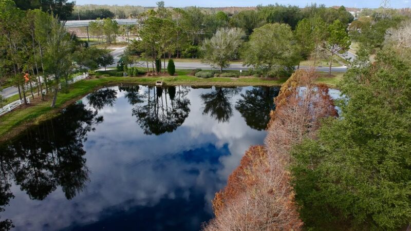 Hutchison Park - Tampa, FL