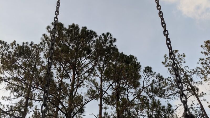 Hutchison Park - Tampa, FL