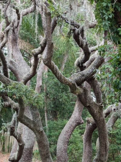 Jean Street Park - Tampa, FL