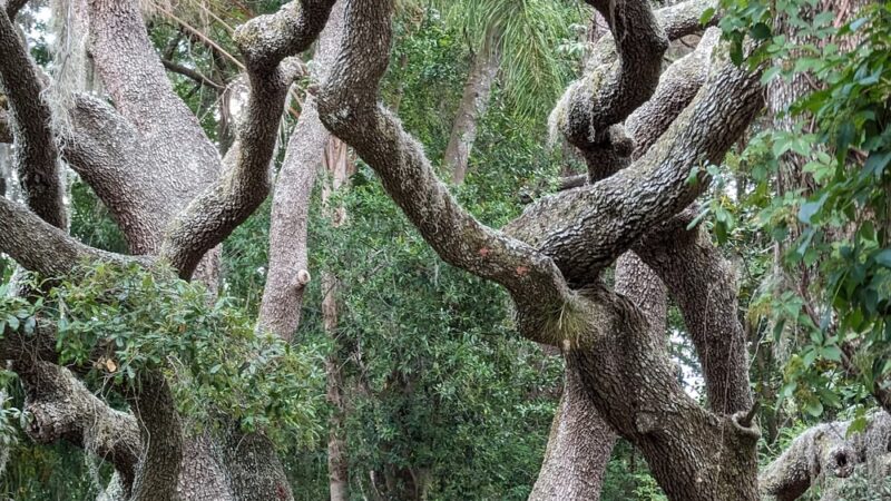 Jean Street Park - Tampa, FL