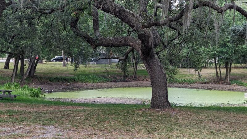 Jean Street Park - Tampa, FL
