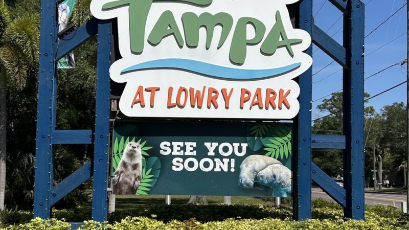 Lowry Park - Tampa, FL