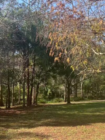 Lowry Park - Tampa, FL
