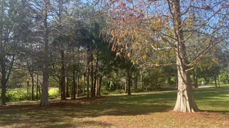 Lowry Park - Tampa, FL