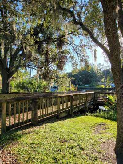 Lowry Park - Tampa, FL