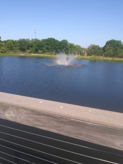 Lucy Dell Park - Tampa, FL