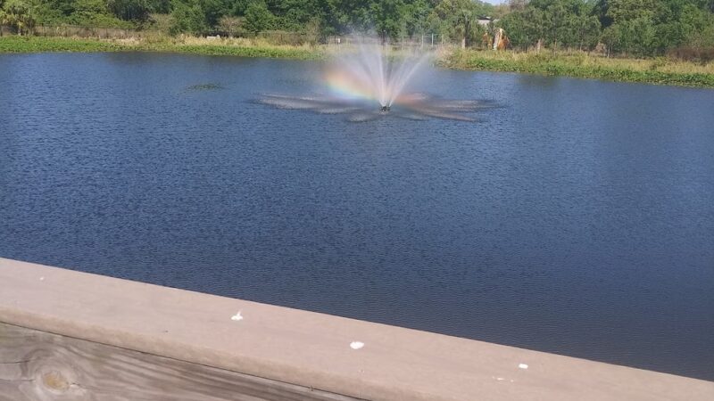 Lucy Dell Park - Tampa, FL