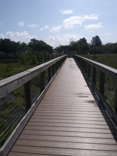 Lucy Dell Park - Tampa, FL