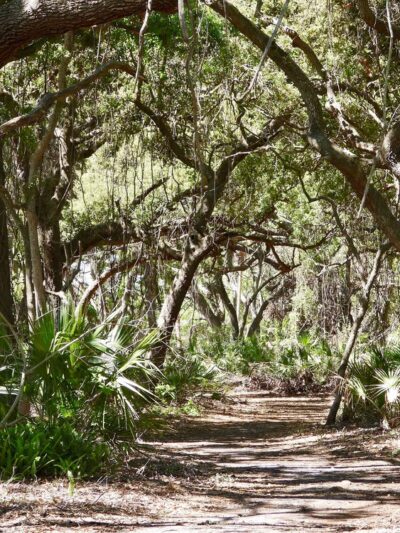 MacDill 48 Park - Tampa, FL