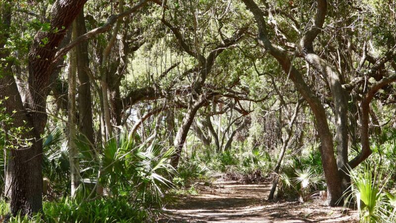 MacDill 48 Park - Tampa, FL